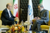 مبارزه با داعش بدون حضور ایران موفقیت‌آمیز نخواهد بود
