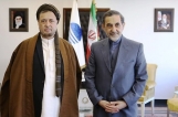 همکاری ایران و افغانستان برای مقابله با گسترش موادمخدر