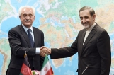 عکس/اولین نشست گفتگوهای استراتژیک ایران - افغانستان