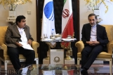 ارتقای روابط تهران و دهلی در زمینه‌های اقتصادی/آمادگی هند برای افزایش دریافت گاز از ایران