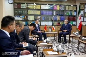 دیدار دکتر ولایتی و سفیر چین در ایران