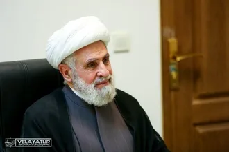 دکتر ولایتی با شیخ نعیم قاسم قائم مقام دبیر کل حزب الله لبنان دیدار کرد