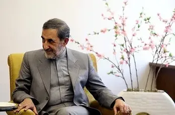دیدار دکتر ولایتی با نماینده چین در ۱+۵/ عکس