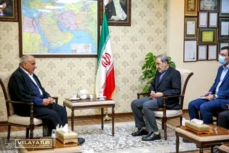 دیدار دکتر ولایتی با دکتر عادل عبدالمهدی