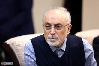 دیدار وزیر امور خارجه به همراه وزرای امور خارجه سابق جمهوری اسلامی ایران با دکتر علی اکبر ولایتی
