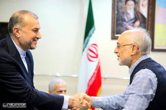 دیدار وزیر امور خارجه به همراه وزرای امور خارجه سابق جمهوری اسلامی ایران با دکتر علی اکبر ولایتی