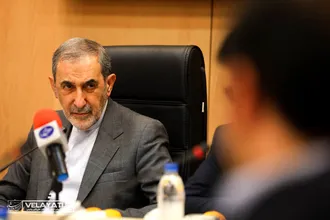 دیدار فراکسیون نمایندگان ولایی شورای عالی استان های کشور با دکتر ولایتی