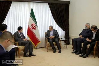 دیدار سفیر چین با دکتر ولایتی